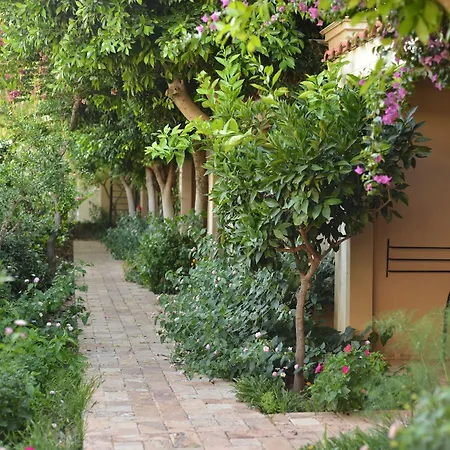 - فئة خاصة فندق داليان