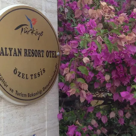 - Special Category Dalyan