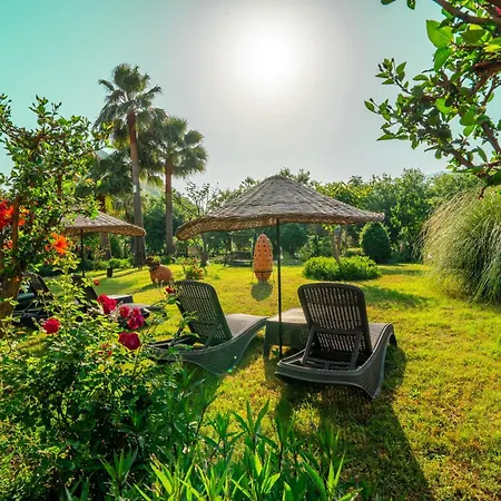 - Special Category Dalyan