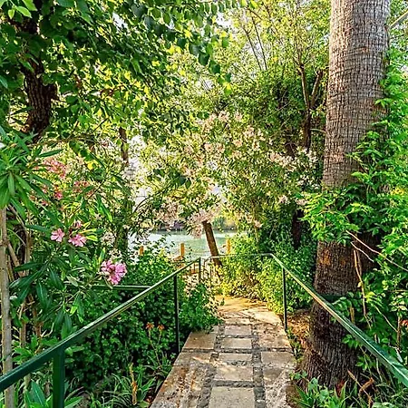 - Special Category Hotel Dalyan