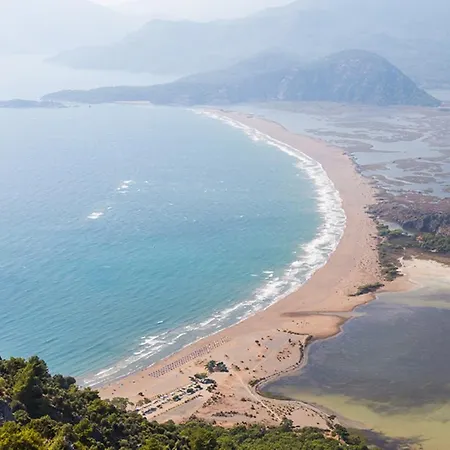 Hotel - Special Category 4*